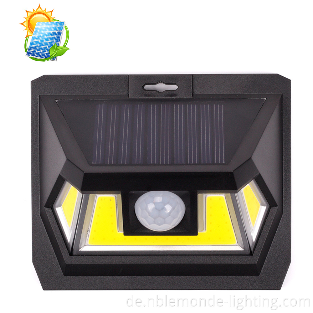 Motion Sensor Light